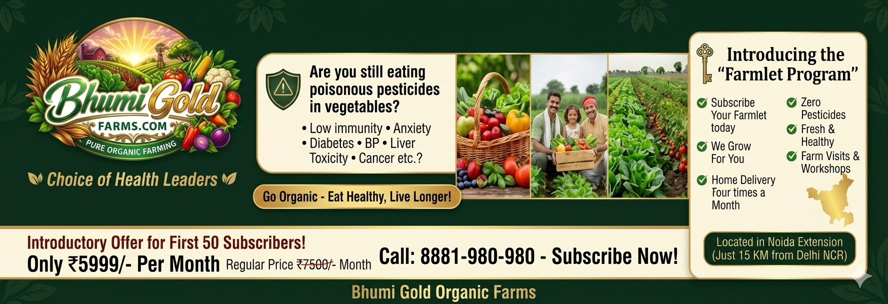 Organic Promotion Page 1