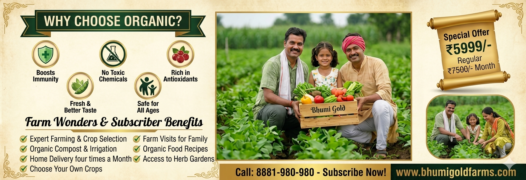 Organic Promotion Page 2